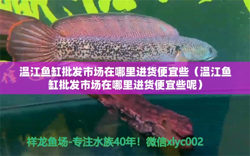 溫江魚(yú)缸批發(fā)市場(chǎng)在哪里進(jìn)貨便宜些（溫江魚(yú)缸批發(fā)市場(chǎng)在哪里進(jìn)貨便宜些呢）