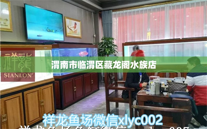 渭南市臨渭區(qū)藏龍閣水族店 全國(guó)水族館企業(yè)名錄