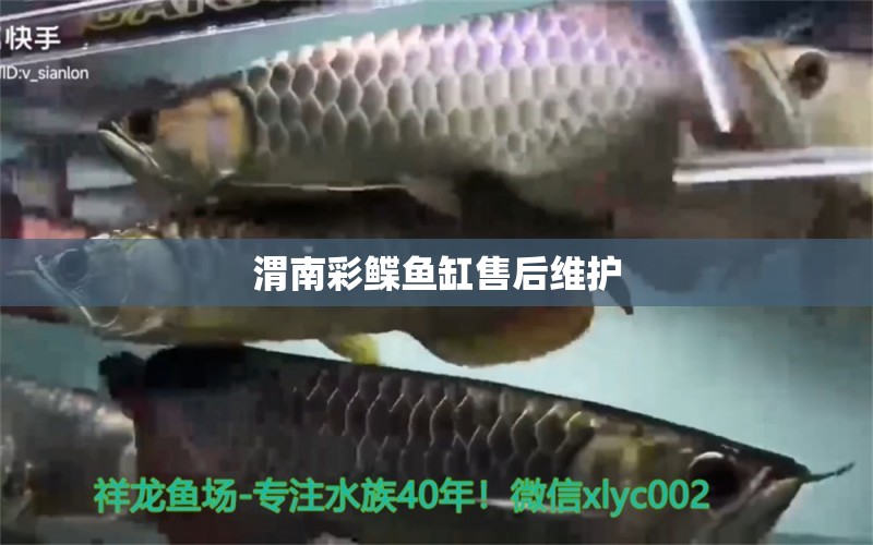 渭南彩鰈魚缸售后維護 彩鰈魚缸（彩蝶魚缸）