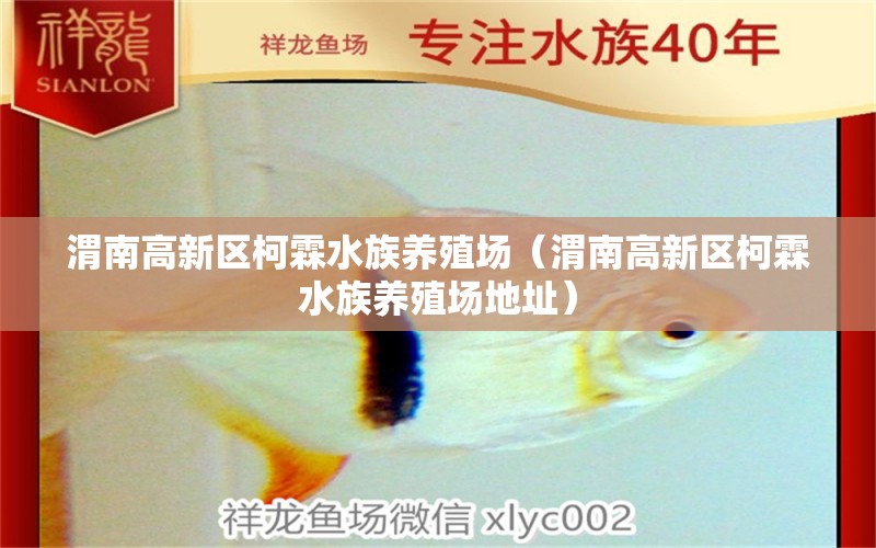 渭南高新區(qū)柯霖水族養(yǎng)殖場(chǎng)（渭南高新區(qū)柯霖水族養(yǎng)殖場(chǎng)地址）