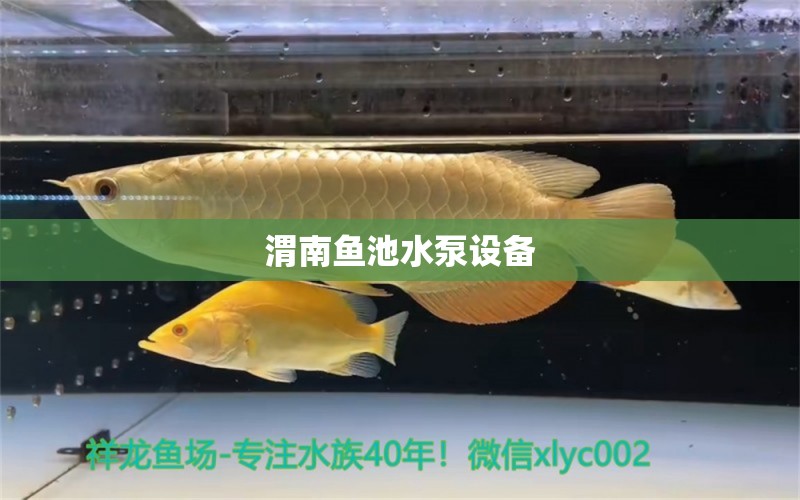 渭南魚(yú)池水泵設(shè)備