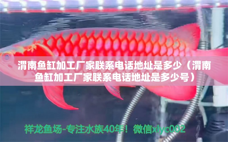 渭南魚缸加工廠家聯(lián)系電話地址是多少（渭南魚缸加工廠家聯(lián)系電話地址是多少號(hào)）