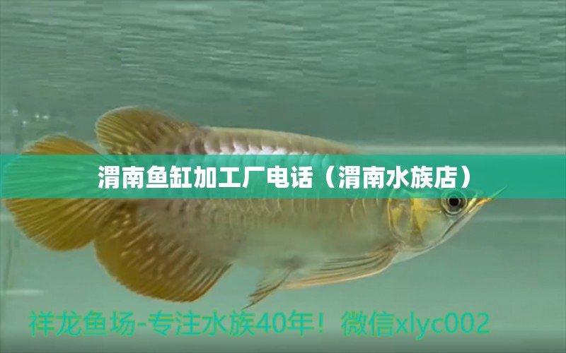 渭南魚(yú)缸加工廠電話（渭南水族店）