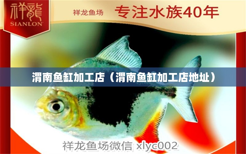 渭南魚缸加工店（渭南魚缸加工店地址） 朱巴利魚