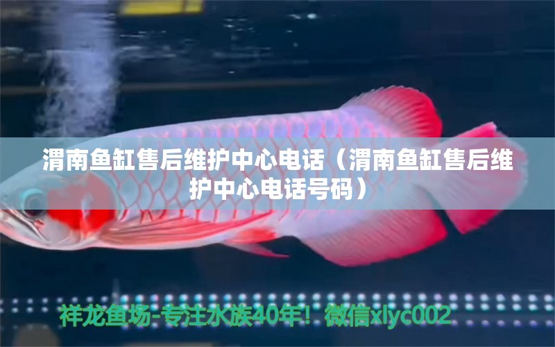 渭南魚缸售后維護(hù)中心電話（渭南魚缸售后維護(hù)中心電話號碼） 其他品牌魚缸