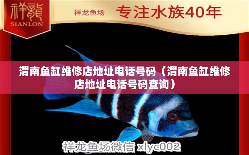 渭南魚(yú)缸維修店地址電話號(hào)碼（渭南魚(yú)缸維修店地址電話號(hào)碼查詢）