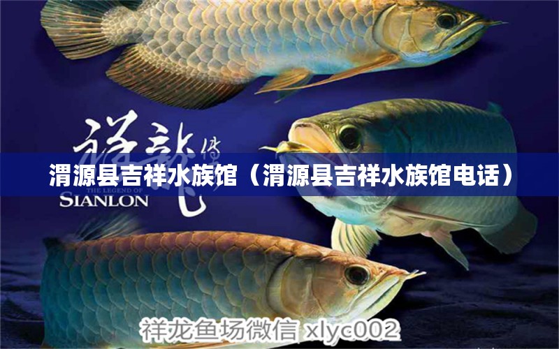 渭源縣吉祥水族館（渭源縣吉祥水族館電話）