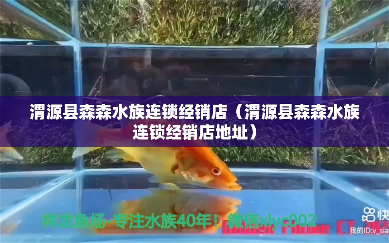 渭源縣森森水族連鎖經(jīng)銷店（渭源縣森森水族連鎖經(jīng)銷店地址） 全國水族館企業(yè)名錄