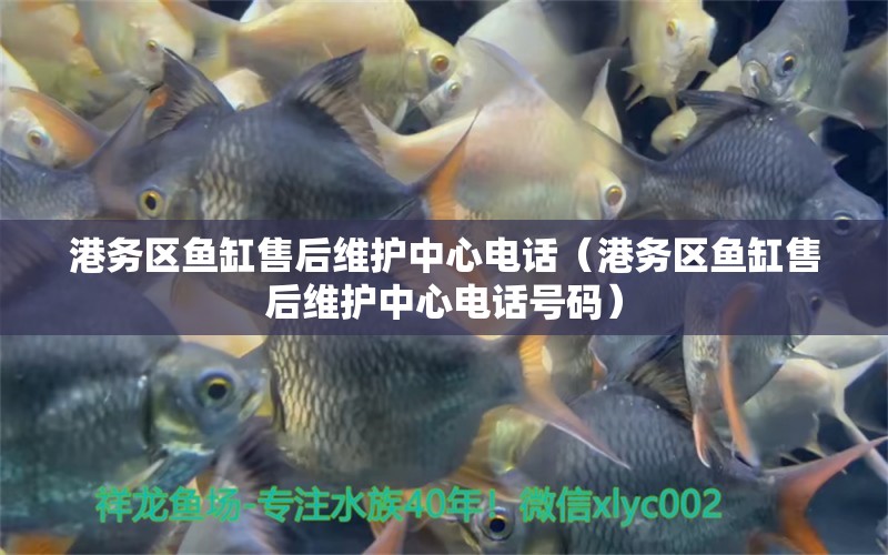 港務(wù)區(qū)魚缸售后維護(hù)中心電話（港務(wù)區(qū)魚缸售后維護(hù)中心電話號(hào)碼）