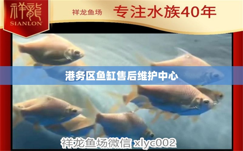 港務區(qū)魚缸售后維護中心 其他品牌魚缸