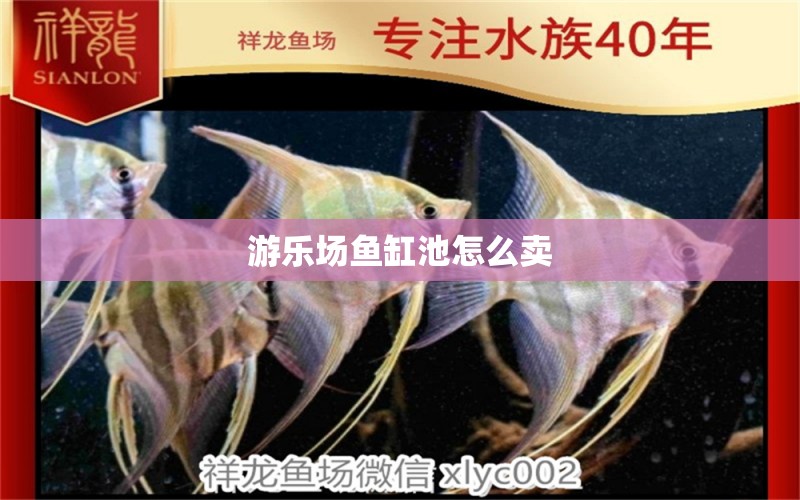 游樂場(chǎng)魚缸池怎么賣