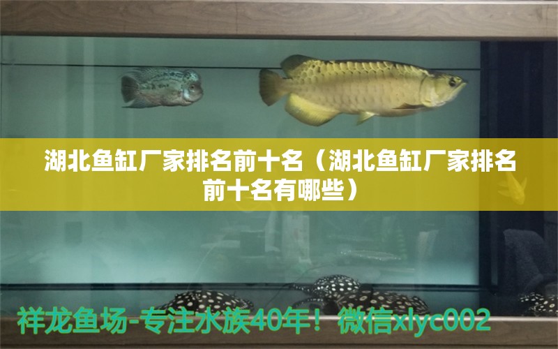 湖北魚缸廠家排名前十名（湖北魚缸廠家排名前十名有哪些）