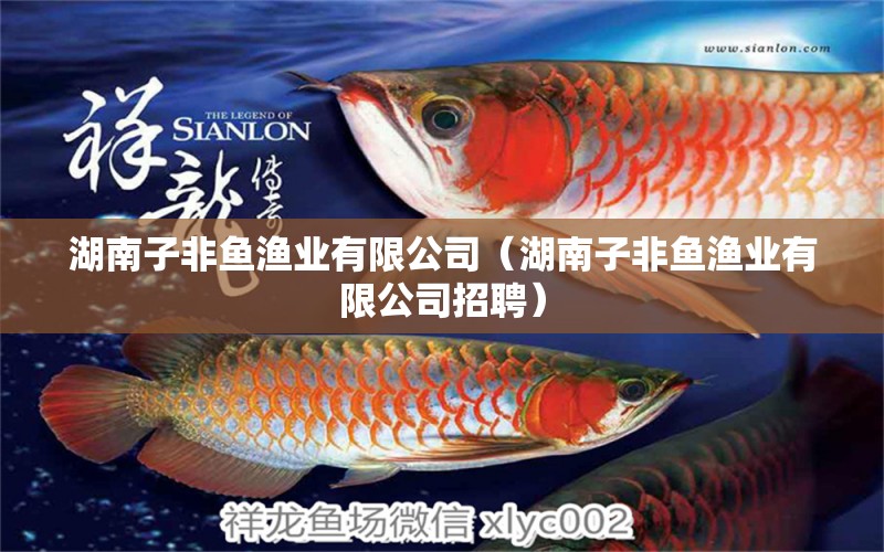 湖南子非魚漁業(yè)有限公司（湖南子非魚漁業(yè)有限公司招聘）