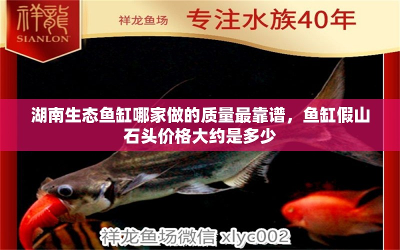 湖南生態(tài)魚缸哪家做的質(zhì)量最靠譜，魚缸假山石頭價(jià)格大約是多少