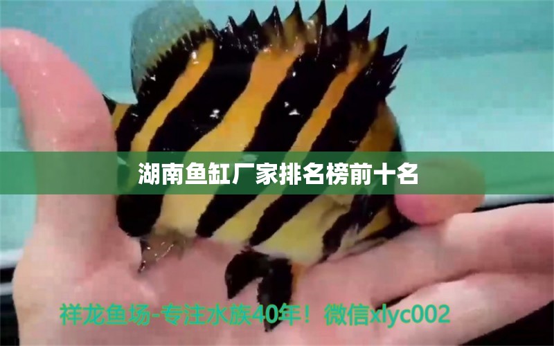 湖南魚缸廠家排名榜前十名