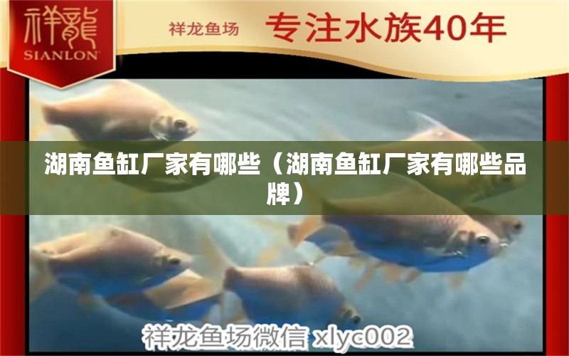 湖南魚缸廠家有哪些（湖南魚缸廠家有哪些品牌）