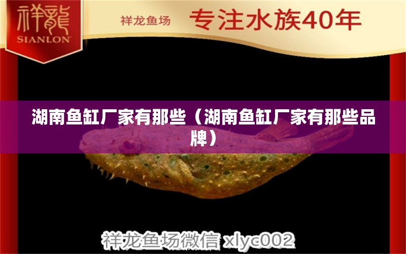 湖南魚缸廠家有那些（湖南魚缸廠家有那些品牌） 其他品牌魚缸