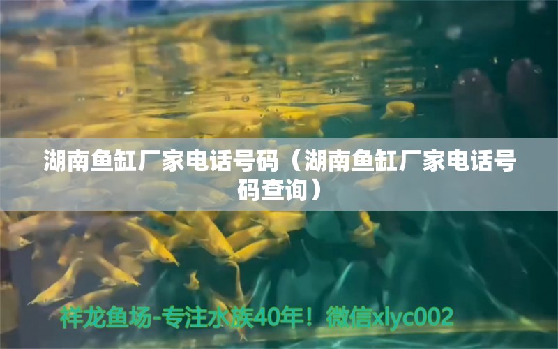 湖南魚缸廠家電話號(hào)碼（湖南魚缸廠家電話號(hào)碼查詢）