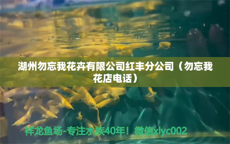 湖州勿忘我花卉有限公司紅豐分公司（勿忘我花店電話）