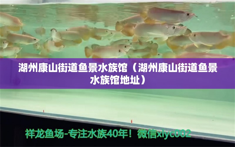 湖州康山街道魚景水族館（湖州康山街道魚景水族館地址）