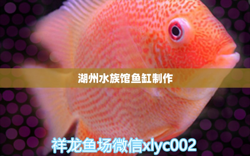 湖州水族館魚缸制作 其他品牌魚缸