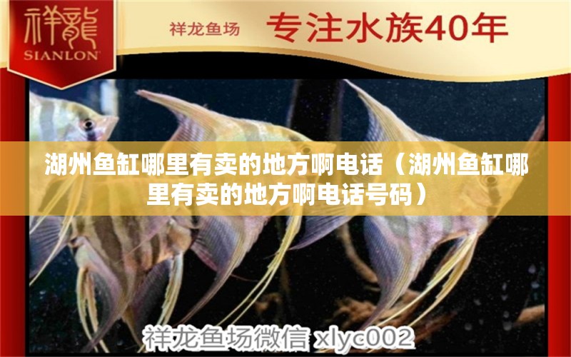 湖州魚(yú)缸哪里有賣(mài)的地方啊電話（湖州魚(yú)缸哪里有賣(mài)的地方啊電話號(hào)碼）