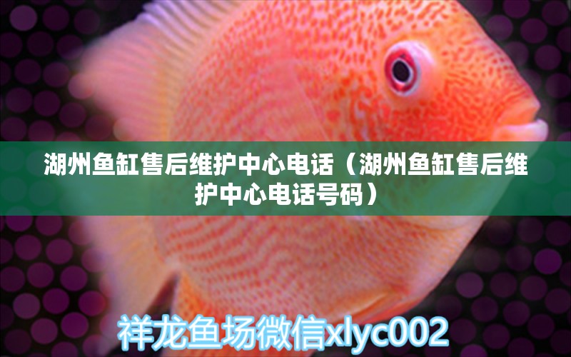 湖州魚(yú)缸售后維護(hù)中心電話（湖州魚(yú)缸售后維護(hù)中心電話號(hào)碼）