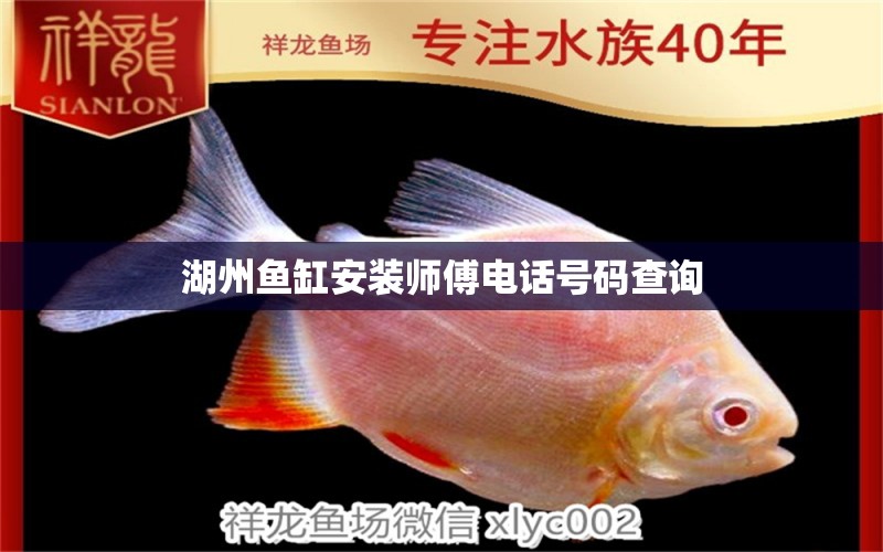 湖州魚缸安裝師傅電話號碼查詢 祥龍魚場