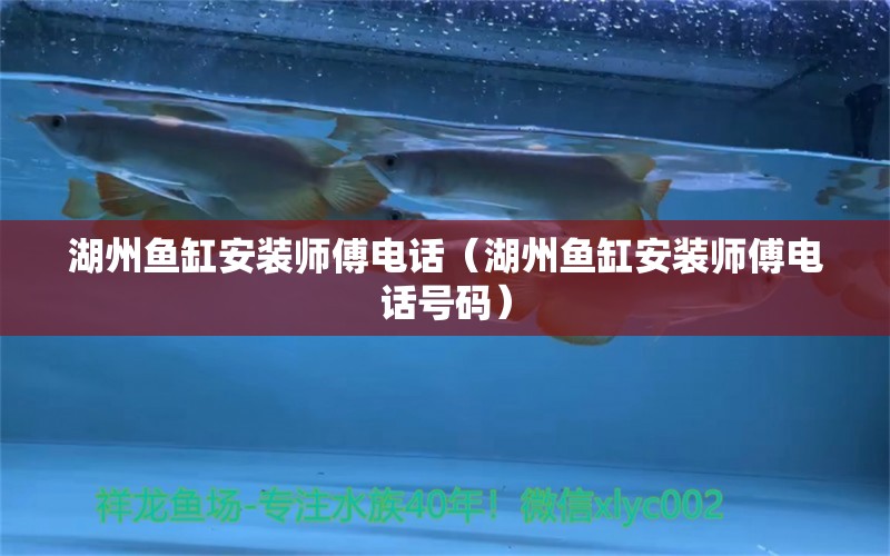 湖州魚缸安裝師傅電話（湖州魚缸安裝師傅電話號(hào)碼） 巴西亞魚苗