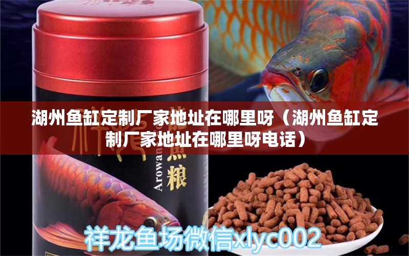 湖州魚缸定制廠家地址在哪里呀（湖州魚缸定制廠家地址在哪里呀電話）