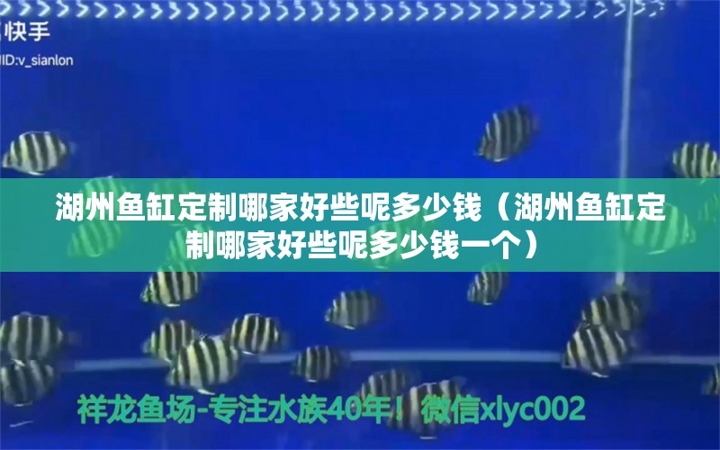 湖州魚缸定制哪家好些呢多少錢（湖州魚缸定制哪家好些呢多少錢一個(gè)） 觀賞魚市場(chǎng)（混養(yǎng)魚）