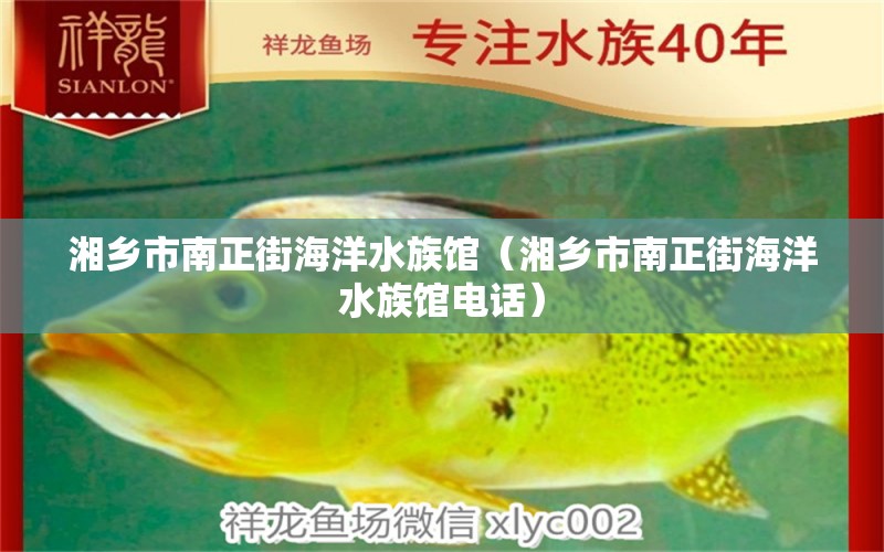 湘鄉(xiāng)市南正街海洋水族館（湘鄉(xiāng)市南正街海洋水族館電話） 全國(guó)水族館企業(yè)名錄