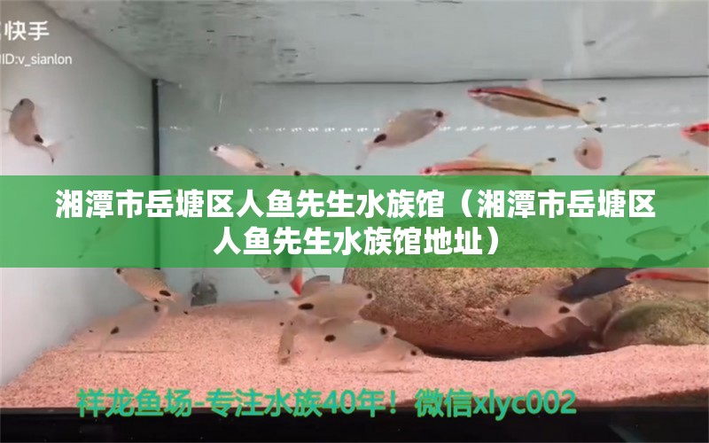 湘潭市岳塘區(qū)人魚先生水族館（湘潭市岳塘區(qū)人魚先生水族館地址）