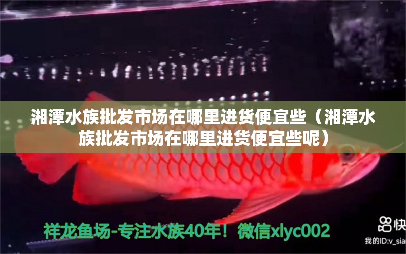 湘潭水族批發(fā)市場在哪里進貨便宜些（湘潭水族批發(fā)市場在哪里進貨便宜些呢）