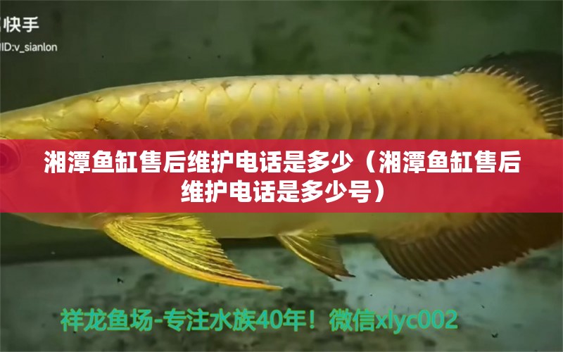 湘潭魚缸售后維護(hù)電話是多少（湘潭魚缸售后維護(hù)電話是多少號(hào)）