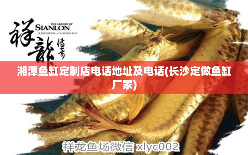 湘潭魚(yú)缸定制店電話地址及電話(長(zhǎng)沙定做魚(yú)缸廠家) 祥龍魚(yú)場(chǎng)品牌產(chǎn)品