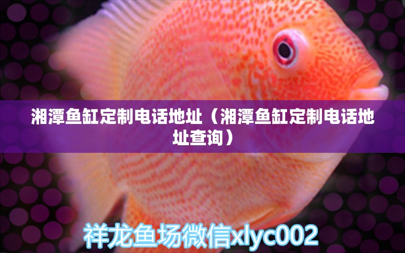 湘潭魚缸定制電話地址（湘潭魚缸定制電話地址查詢）