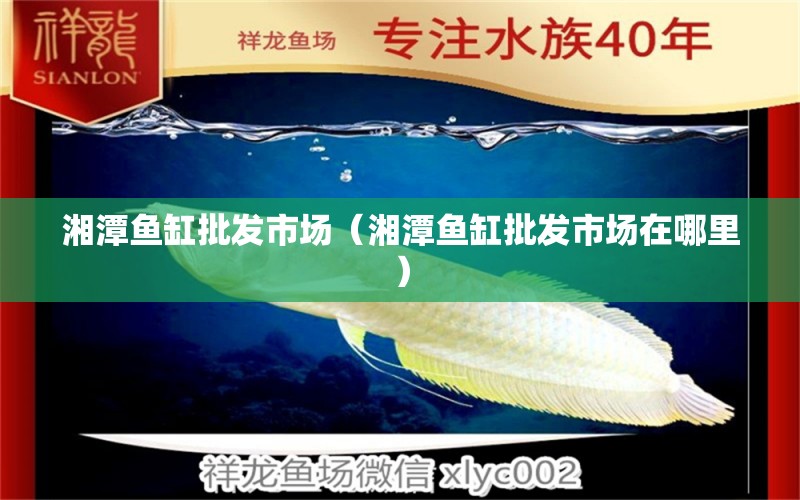 湘潭魚缸批發(fā)市場（湘潭魚缸批發(fā)市場在哪里）