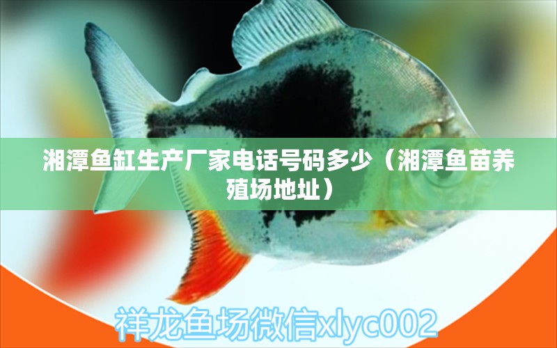 湘潭魚缸生產(chǎn)廠家電話號碼多少（湘潭魚苗養(yǎng)殖場地址） 祥龍龍魚魚糧