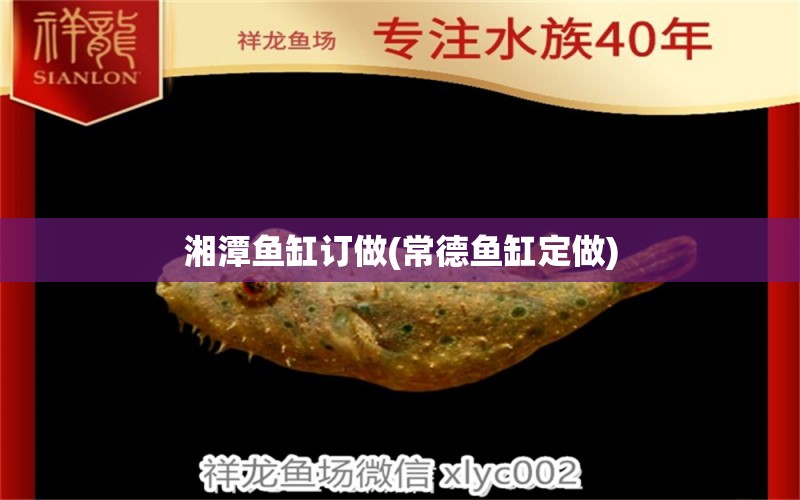 湘潭魚缸訂做(常德魚缸定做)