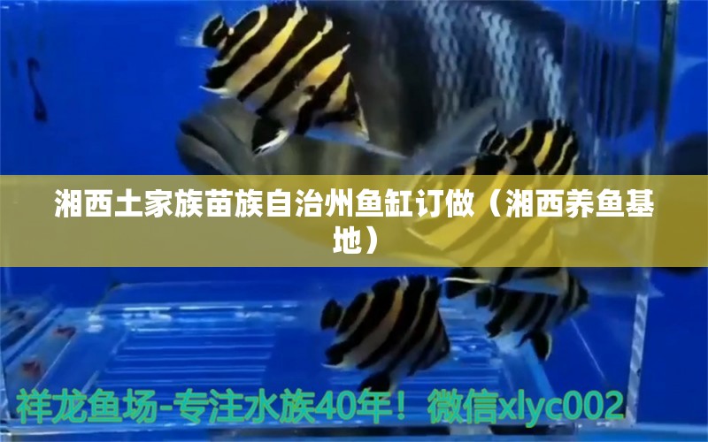 湘西土家族苗族自治州魚缸訂做（湘西養(yǎng)魚基地）