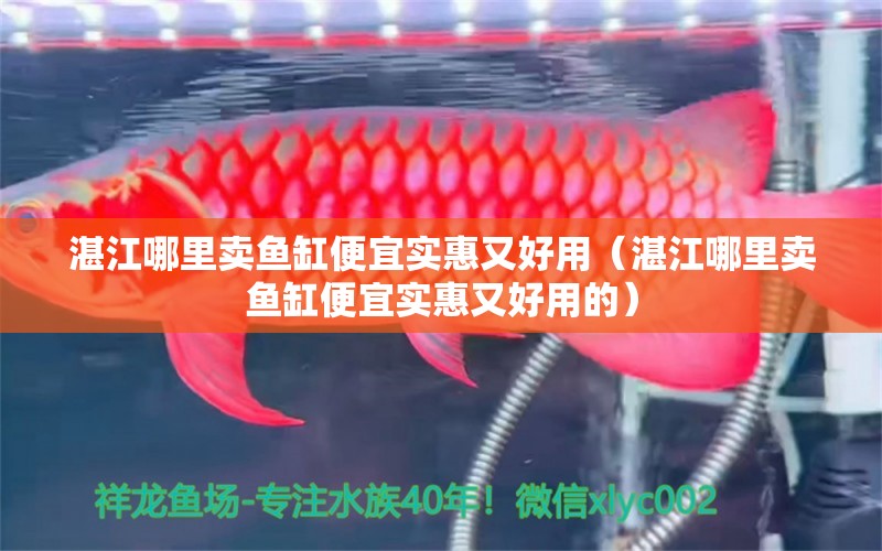 湛江哪里賣魚缸便宜實惠又好用（湛江哪里賣魚缸便宜實惠又好用的） 觀賞魚水族批發(fā)市場