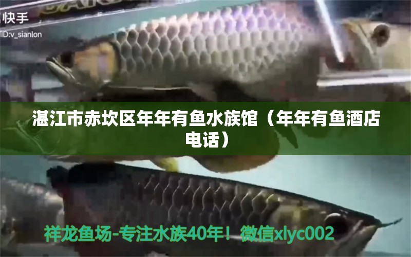 湛江市赤坎區(qū)年年有魚水族館（年年有魚酒店電話） 全國水族館企業(yè)名錄