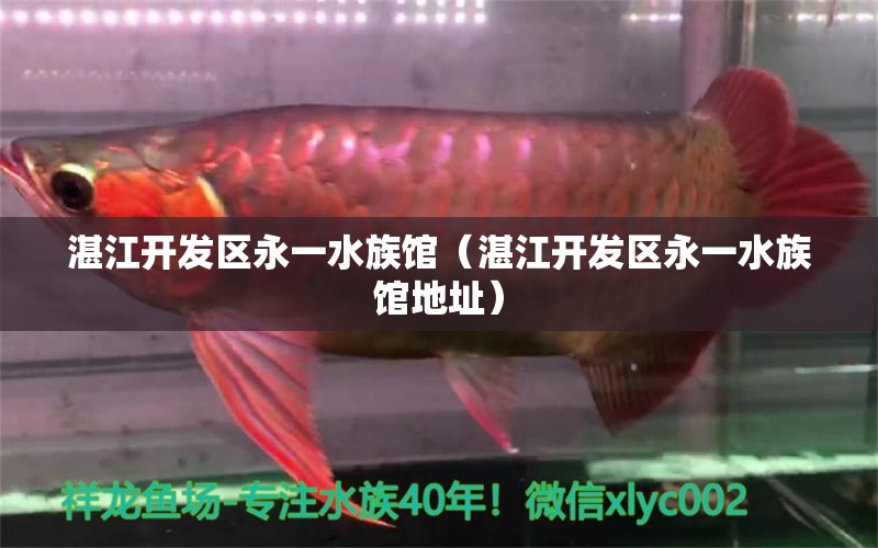 湛江開發(fā)區(qū)永一水族館（湛江開發(fā)區(qū)永一水族館地址） 全國水族館企業(yè)名錄