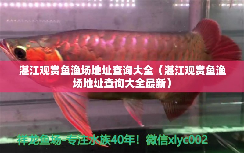 湛江觀賞魚漁場地址查詢大全（湛江觀賞魚漁場地址查詢大全最新） 過濾設備