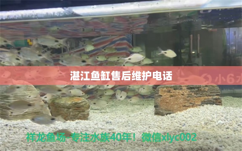 湛江魚缸售后維護電話