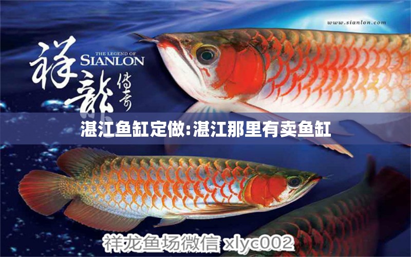 湛江魚缸定做:湛江那里有賣魚缸