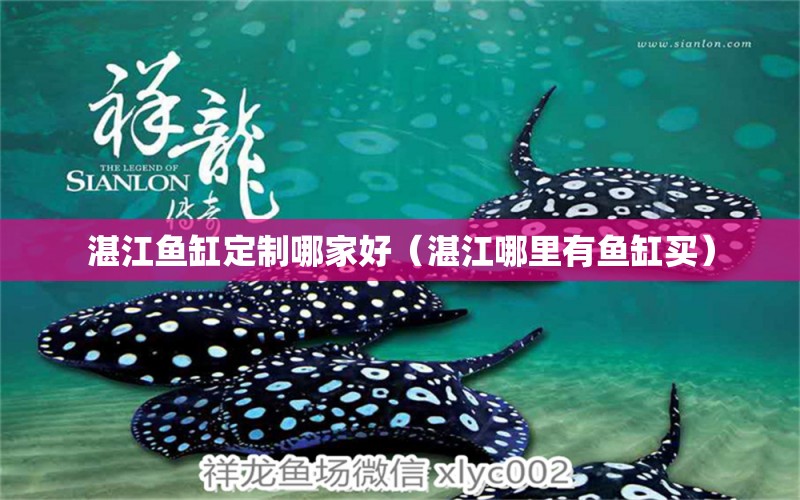 湛江魚缸定制哪家好（湛江哪里有魚缸買）