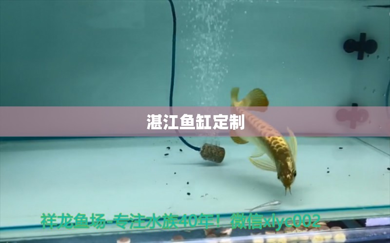 湛江魚缸定制