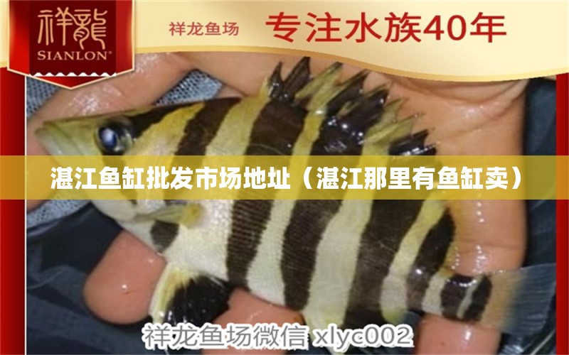 湛江魚缸批發(fā)市場地址（湛江那里有魚缸賣） 其他品牌魚缸